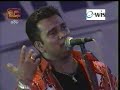 sunflower...live patt 10 sunflower...live patt 10