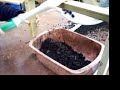 Northwest Redworms - Redworm/castings table harvester