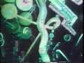 harry smith experimental film animation magick