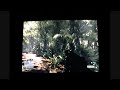 Crysis Maxed