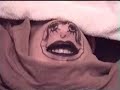 nautik-mario-feat-nelinkaaaaaaaaaaaaa.html
