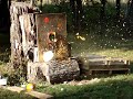 Shotgun vs. Pumpkin regular & high speed video