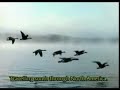 Winged Migration Remix