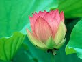 Spiritual music - Sounds of Isha - \ Spiritual music - Sounds of Isha - \