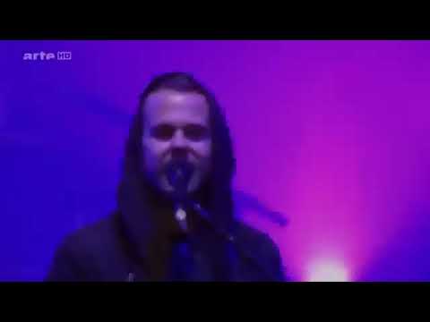 M83 Reunion (Live)
