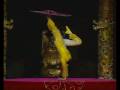 videos de 