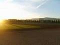 Billy Mortimore Field - Home of the Warriors