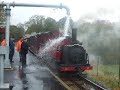 Prince taking water at Beddgelert