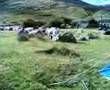 Camping at Tryfan #4