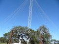 Zilker Park Christmas Tree
