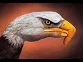 Amazing hand art