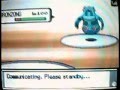 Pokemon Wifi Battle Matamuertos vs SeKo