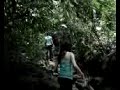 Jungle Bon2x Trip 2