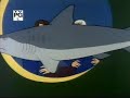 Sealab 2021 - Ted From Accounting