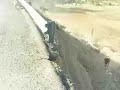 chivos en carretera!! chivos en carretera!!