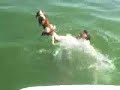 Anna Boat