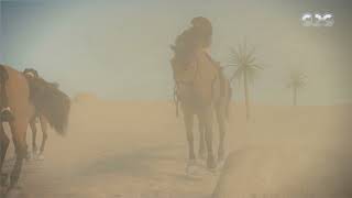 نور وبوابة التاريخ | المؤرخ عبد الرحمن الجبرتي يحكي عن الاحتلال الفرنسي