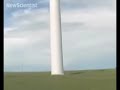 Wind turbines make bat lungs explode
