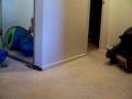 videos de McLovin Play Session
