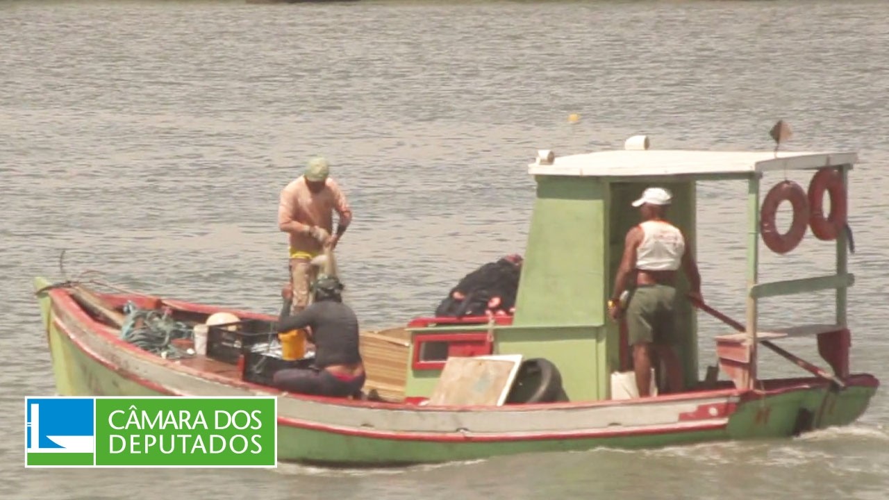 Impactos da moratória da pesca da piracatinga na região amazônica - Agricultura - 12/08/26