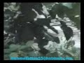 do?ank�y sel1...a?ustoz 2005