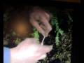 MacGyver in azione.mp4