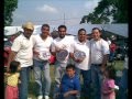 videos de dragones racing
