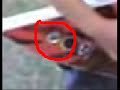 Beberle2 Is NOT Fake