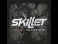 Skillet The Older I Get Video and Lyrics