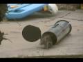 videos de Trapped a Squirrel with the trap from TheSkunker.com