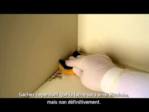 Éliminer la moisissure.