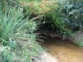 Cachoeira do Sul - Ilha do Amor - Arroio Amorim