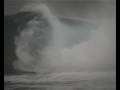 samuel aylett vs. shark island