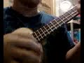 party in the usa ukulele!