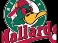 Madison Mallards vs. Eau Claire Express - 8/1/08 Madison Mallards vs. Eau Claire Express - 8/1/08