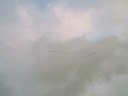 Sandhill Crane Migration/ Dolton IL/  Acie Cargill