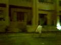 videos de me in worke