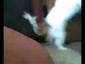Me and Oreo Hate Someone(PT)