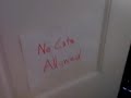 My sublet