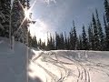 Whistler