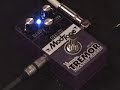 Modtone Harmonic Tremor Tremolo pedal guitar demo