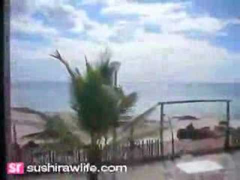 Welcome to Pemba, Mozambique