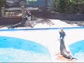 New York Aquarium