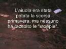 Circonvallazione nomentana aiuola