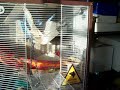 The aviary