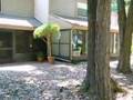 East Lake area Palm Harbor - Oldsmar FL 34677 Townhome sale
