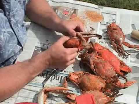 How To Pick Chesapeake Bay MD ...