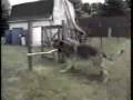 prikolnaja_narezka.wmv