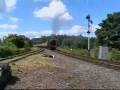 videos de Severn Valley Railway in Bloom - July 2007