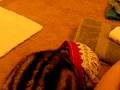 videos de Trophy and Underoos